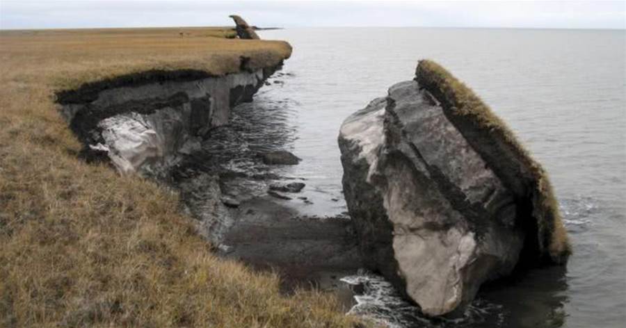 西伯利亞永久凍土融化，發現14300年前動物，專家：該清醒了