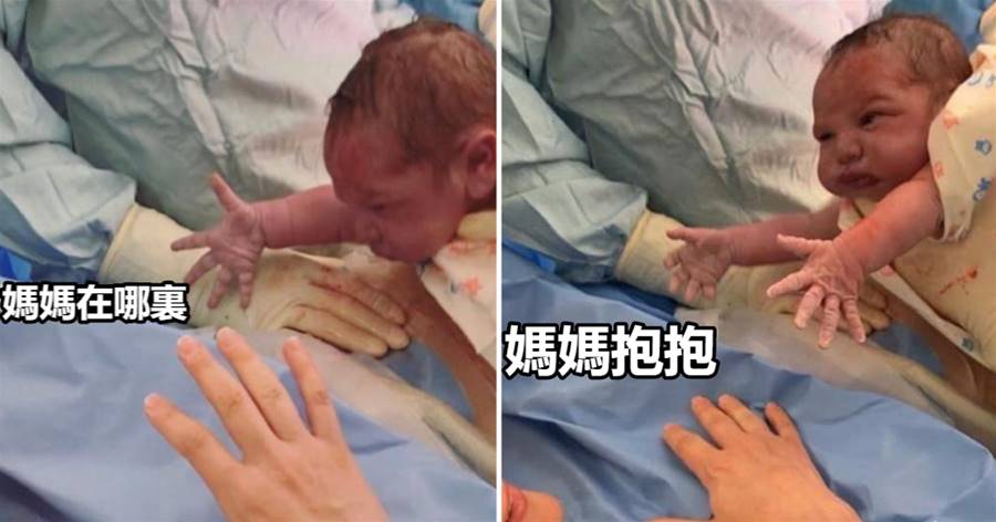 剛出生的寶寶「第一時間就睜眼」張開雙臂「求媽媽抱」超暖心畫面萌翻，網歎：孟婆湯失效了