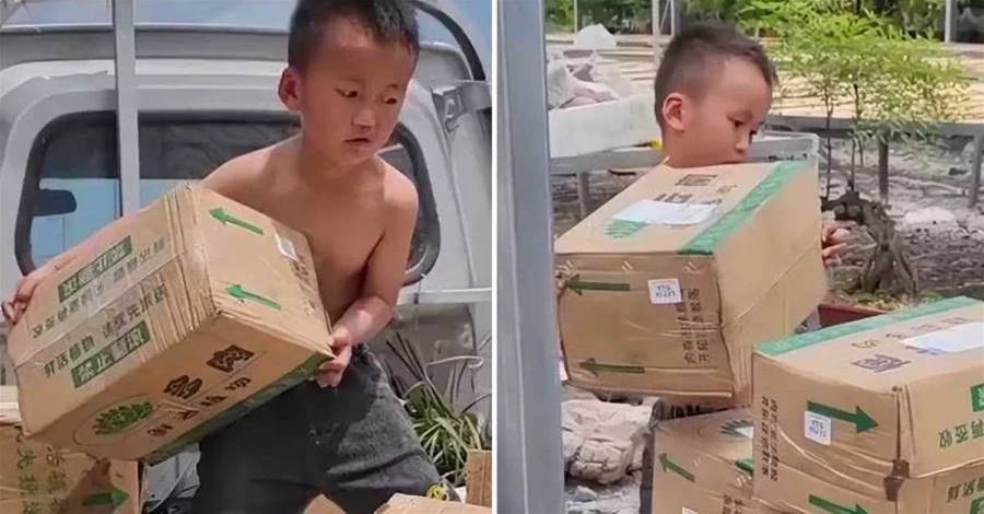 5歲男孩幫爸爸卸貨，一口氣搬34箱，累得滿頭大汗，網友怒贊：男孩就該這樣養